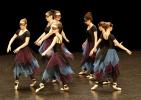 Gala de danse classique 14 ans à jeunes adultes 2026